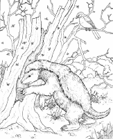 A coloring page of nature in africa